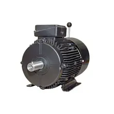 Brake Motors - Industrial motor