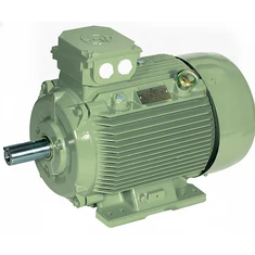 Crusher Application Motors - Industrial motor