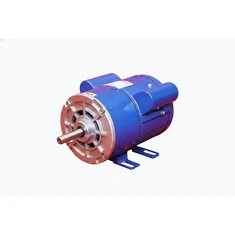 Motors for Domestic Appliances - Industrial motor