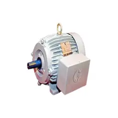 RHINO Series CI Body Motors - Industrial motor