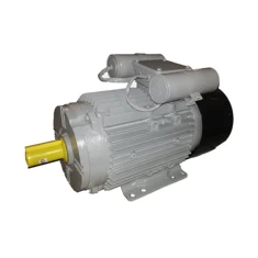 Rice Huller Motors - Industrial motor