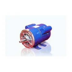 Capacitor Start Motors - Industrial motor