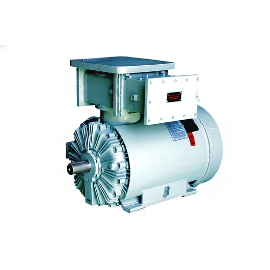 Flame Proof Motors HV - Industrial motor