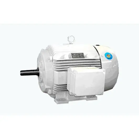 Oil Well Pump Motor - Industrial motor specifications and performance details