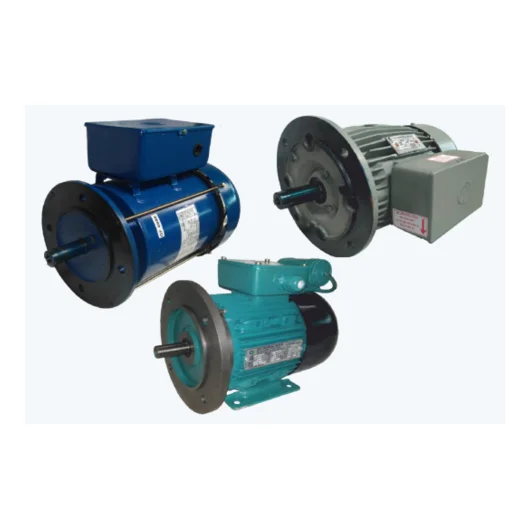 Flange Motors - Industrial motor specifications and performance details