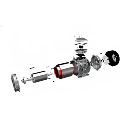 AXELERA Process Performance Motors - Industrial motor