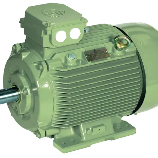 Crusher Application Motors - Industrial motor specifications and performance details