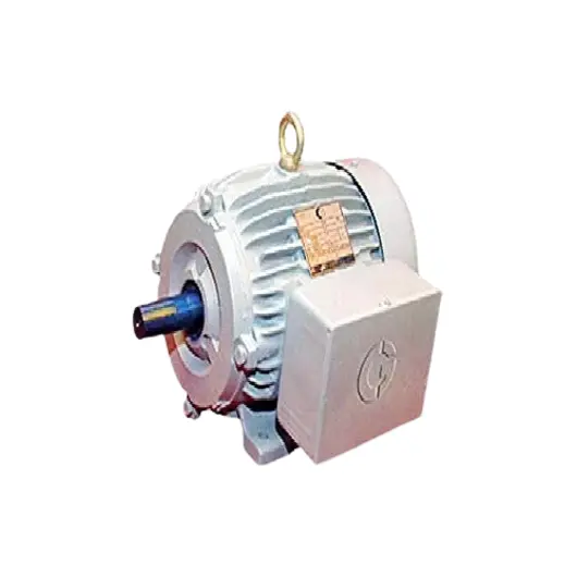 RHINO Series CI Body Motors - Industrial motor specifications and performance details