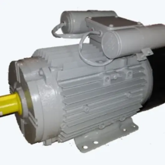 Rice Huller Motors - Industrial motor specifications and performance details