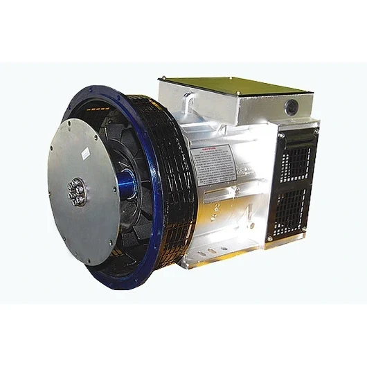 Single Phase Brushless Generator (LV) - Industrial motor
