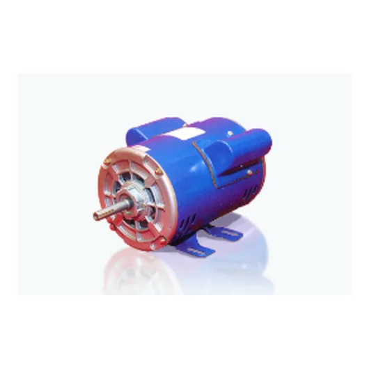 Capacitor Start Motors - Industrial motor specifications and performance details